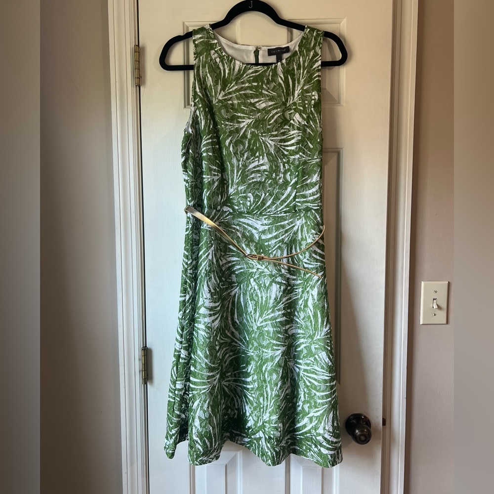 The Limited Dress
